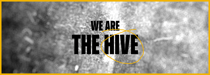 The Hive cover